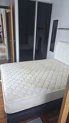 Bliss Loft (D12), Apartment #633374651
